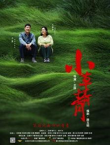 青青小草国产在线播放,国产在线播放的清新之作